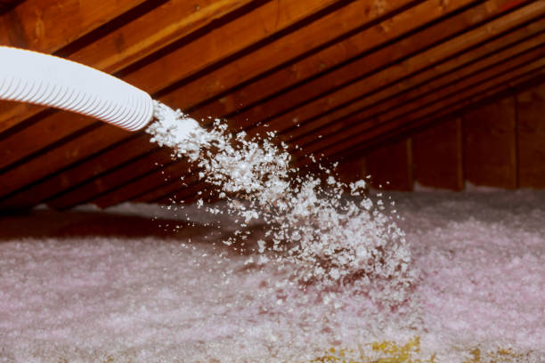 Best Commercial Insulation in Delta Junction, AK